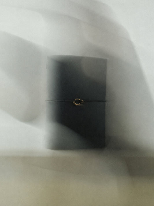 The Classics / Noir Journal  — Pocket