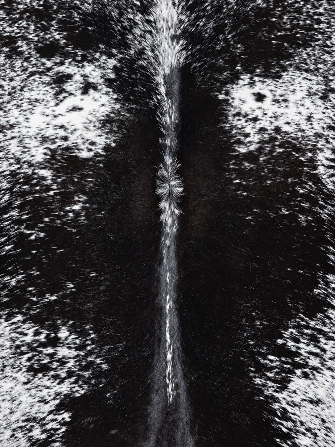 The Archive / Hair-On Salt & Pepper  —  Made to Order